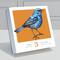 TF Publishing 2025 Birds: Backyard & Beyond Daily Desktop Calendar